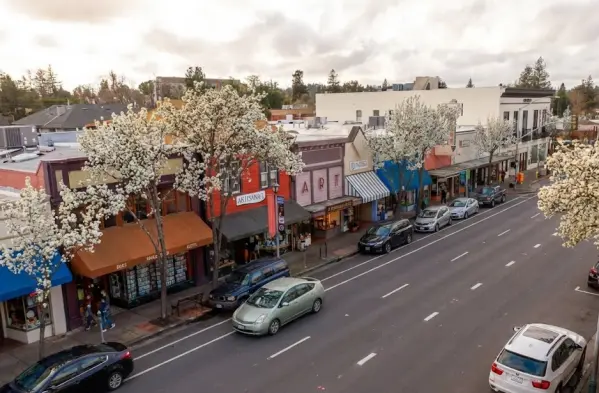Sebastopol