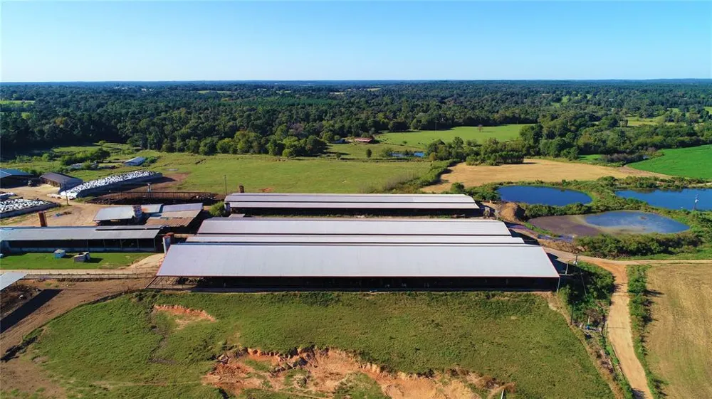 248 County Road 4310