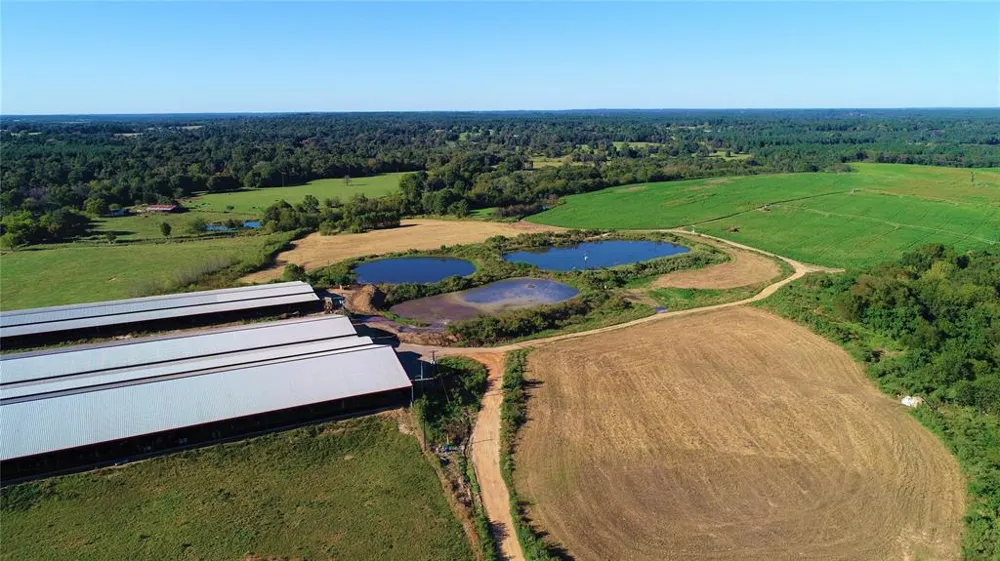 248 County Road 4310 Winnsboro, TX 75494