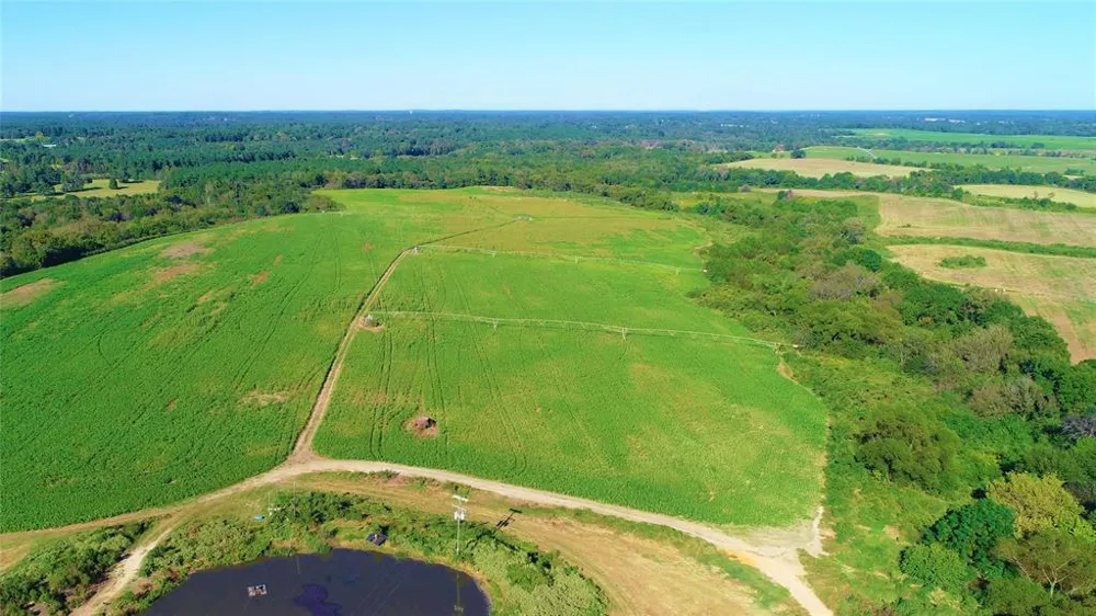 248 County Road 4310 Winnsboro, TX 75494