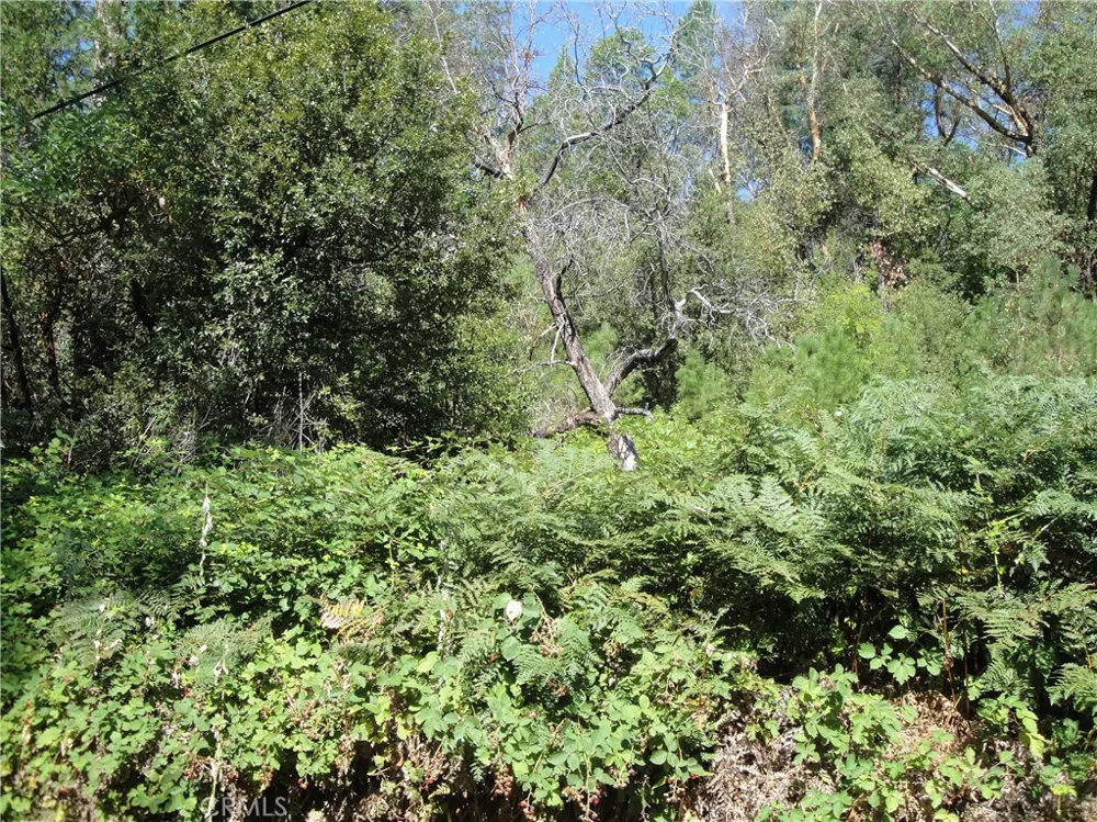 Meadow Lane Berry Creek, CA 95916