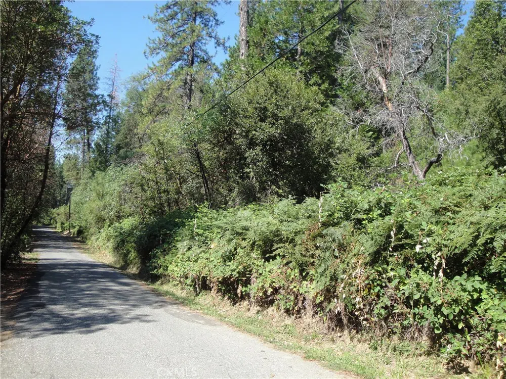 Meadow Lane Berry Creek, CA 95916