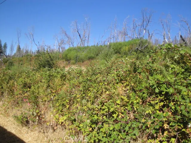 Meadow Lane Berry Creek, CA 95916