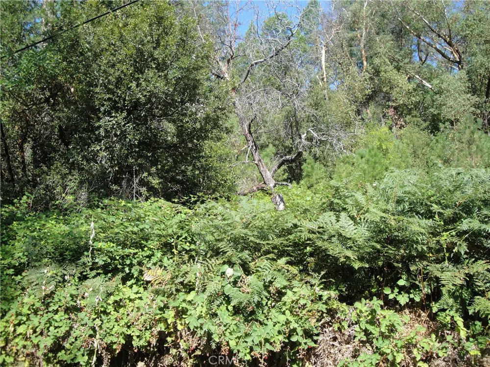 Meadow Lane Berry Creek, CA 95916