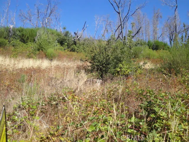 Meadow Lane Berry Creek, CA 95916
