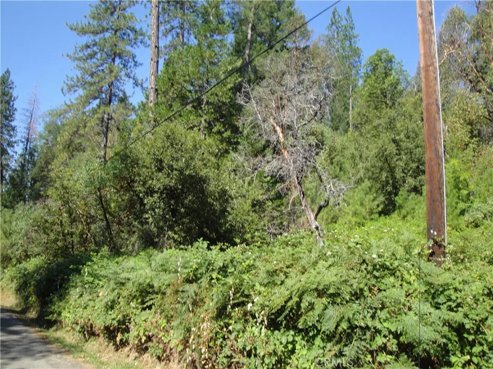 Meadow Lane Berry Creek, CA 95916
