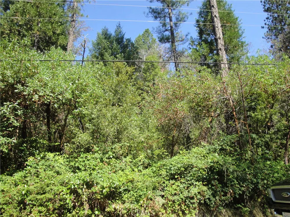 Meadow Lane Berry Creek, CA 95916