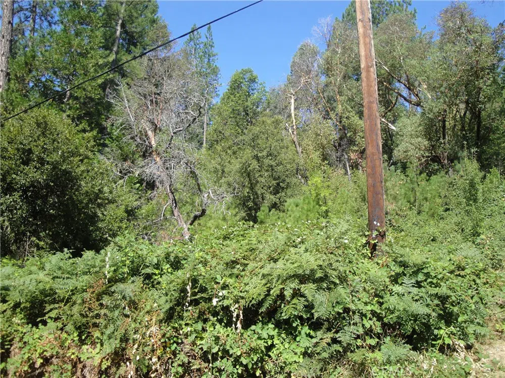Meadow Lane Berry Creek, CA 95916