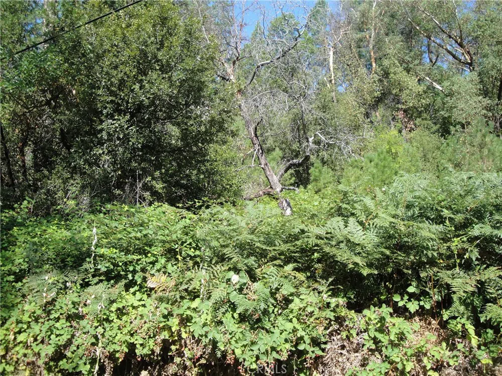 Meadow Lane Berry Creek, CA 95916