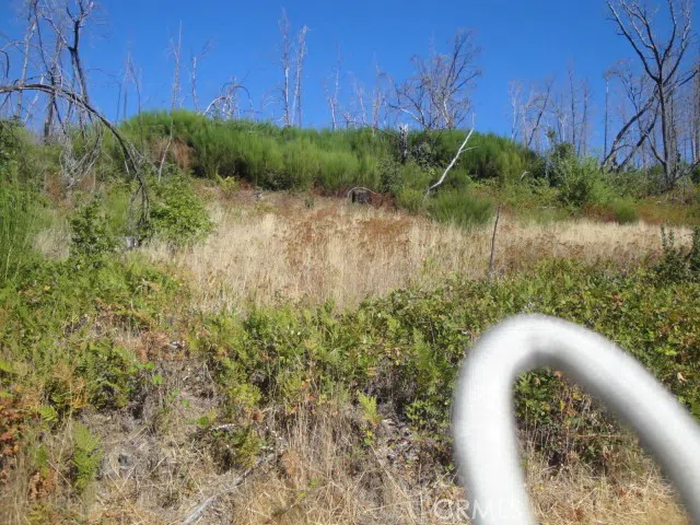 Meadow Lane Berry Creek, CA 95916