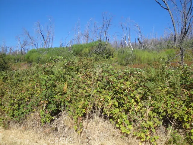 Meadow Lane Berry Creek, CA 95916