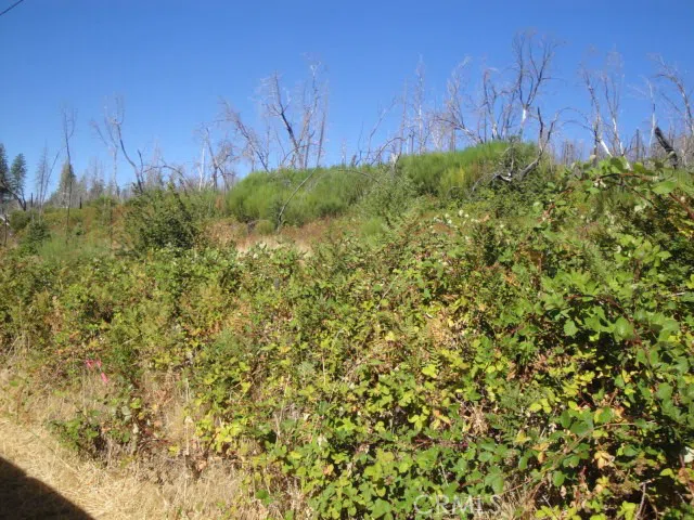 Meadow Lane Berry Creek, CA 95916