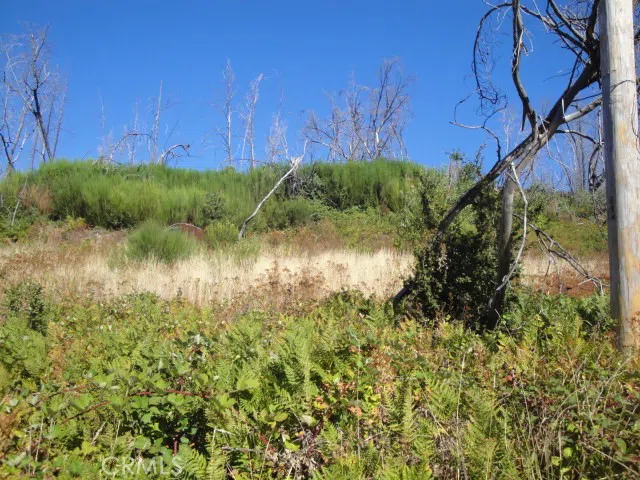 Meadow Lane Berry Creek, CA 95916