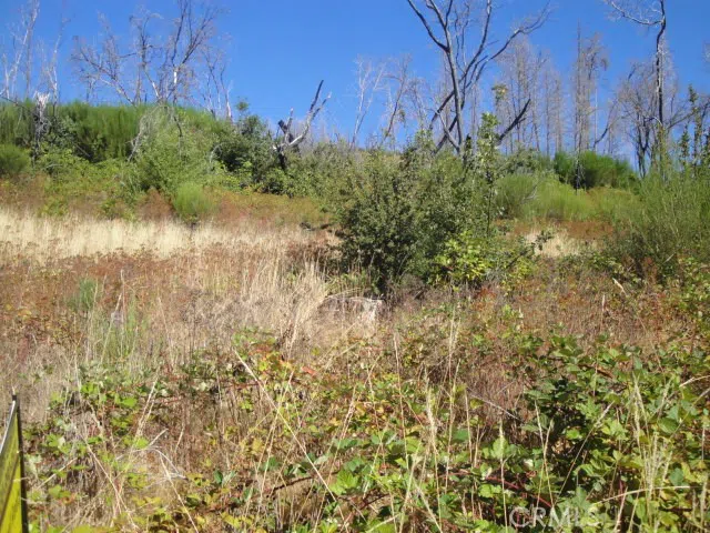 Meadow Lane Berry Creek, CA 95916
