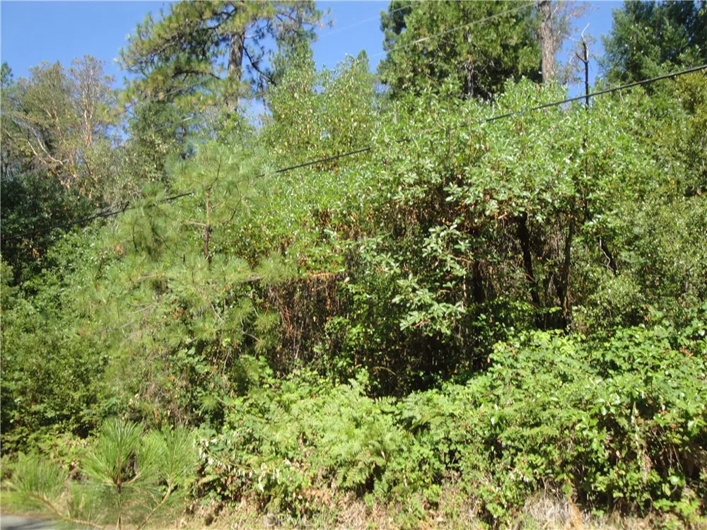 Meadow Lane Berry Creek, CA 95916