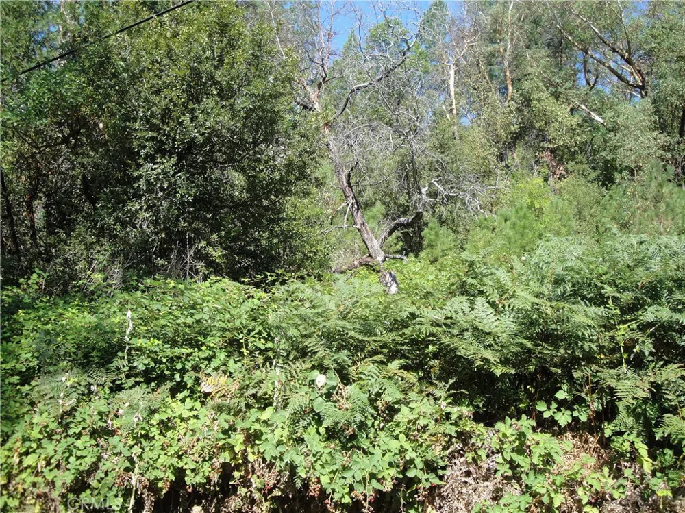 Meadow Lane Berry Creek, CA 95916