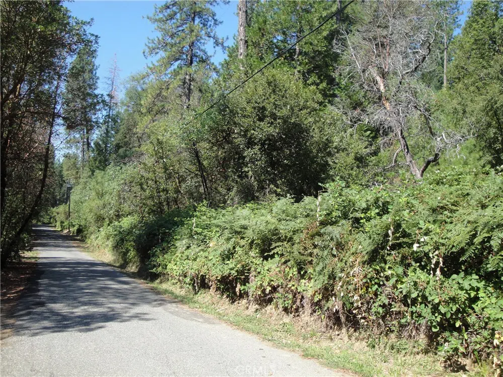 Meadow Lane Berry Creek, CA 95916