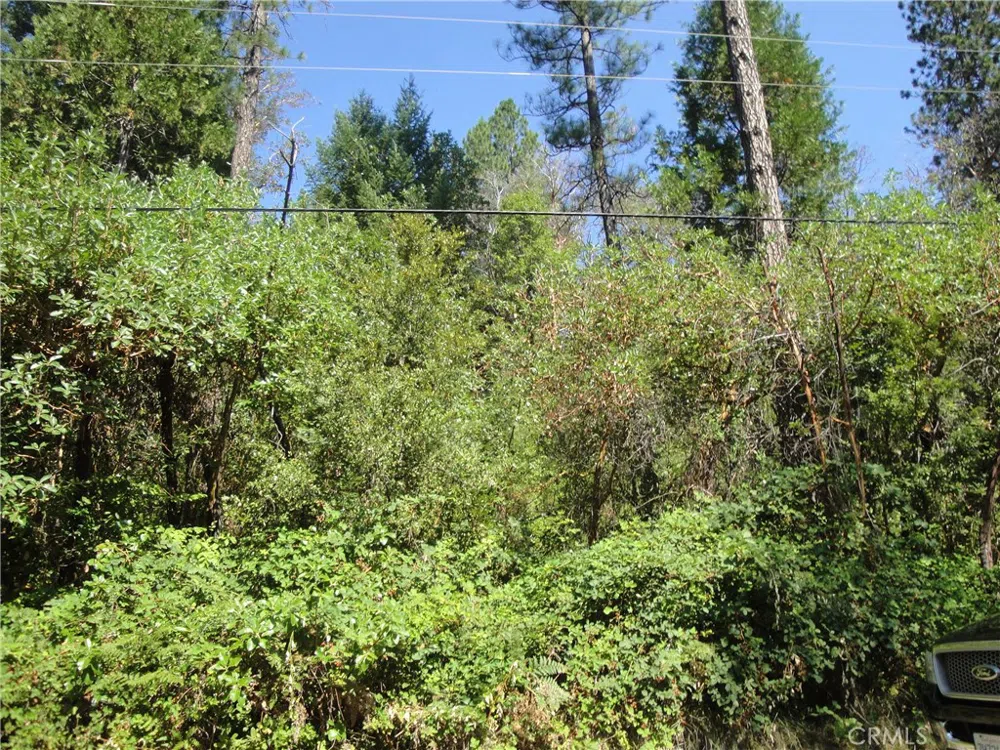 Meadow Lane Berry Creek, CA 95916