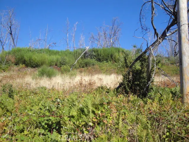 Meadow Lane Berry Creek, CA 95916
