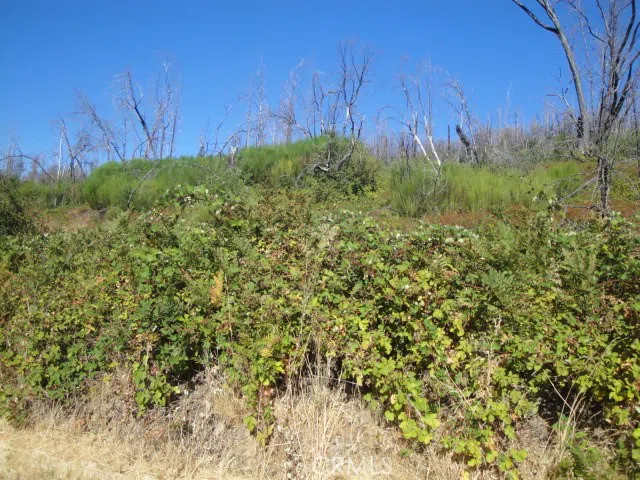 Meadow Lane Berry Creek, CA 95916