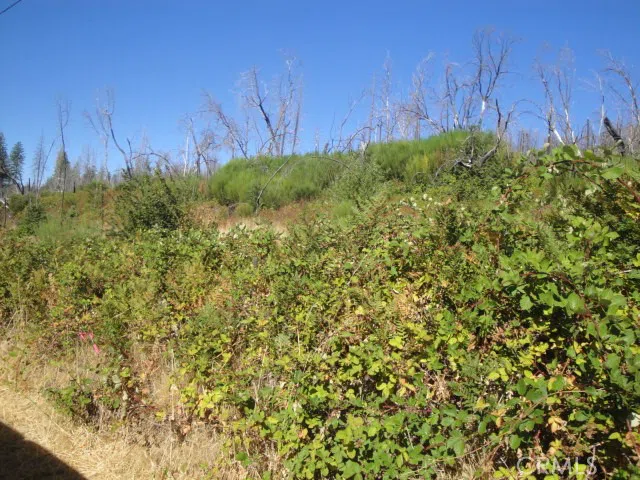 Meadow Lane Berry Creek, CA 95916