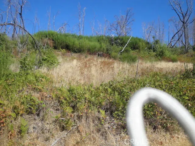 Meadow Lane Berry Creek, CA 95916