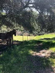 53700 Pine Canyon Road King City, CA 93930