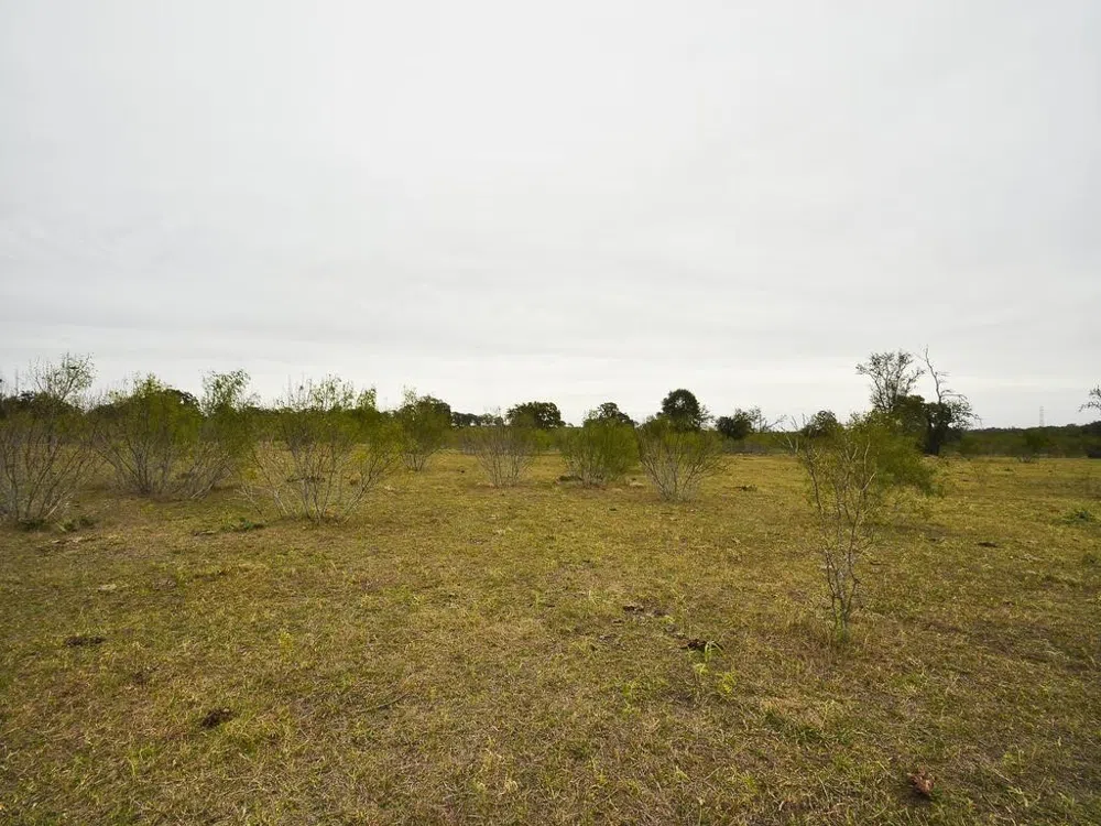 277 FM 672 Dale, TX 78616