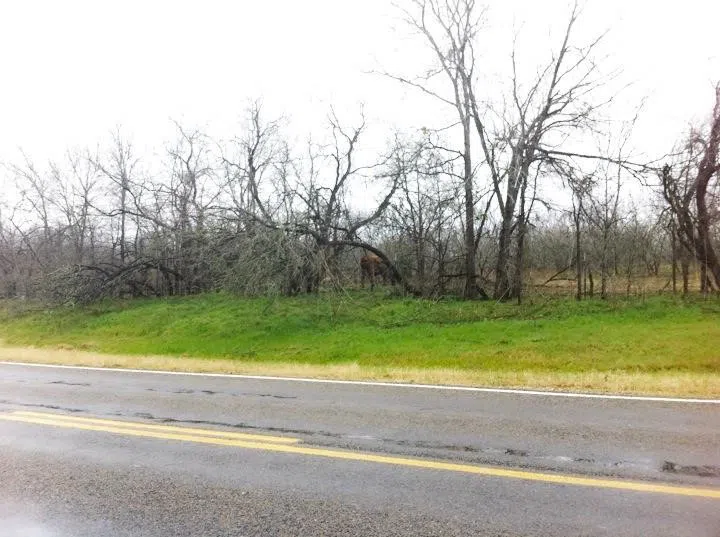 277 FM 672 Dale, TX 78616