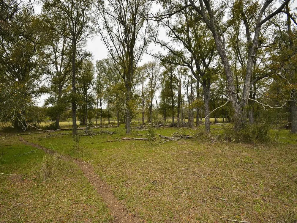 277 FM 672 Dale, TX 78616
