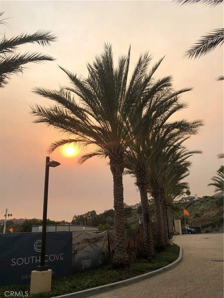 2869 Doheny Way Dana Point, CA 92629