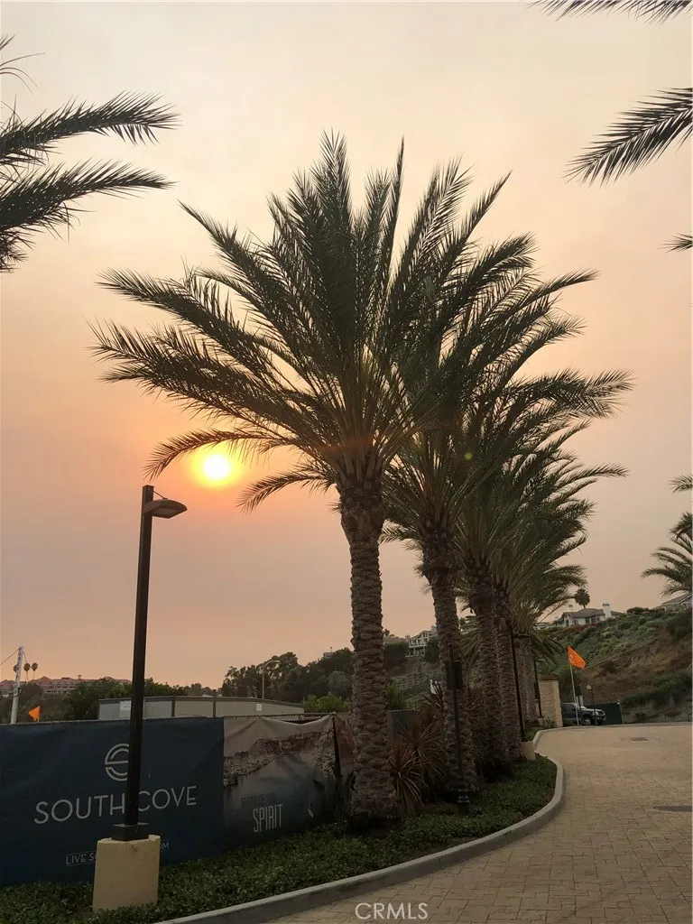 2869 Doheny Way Dana Point, CA 92629