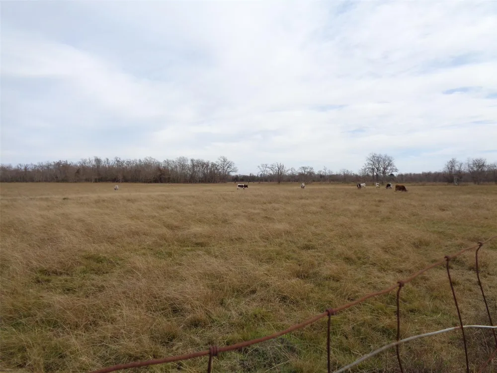 7300 25th Avenue North Texas City, TX 77591