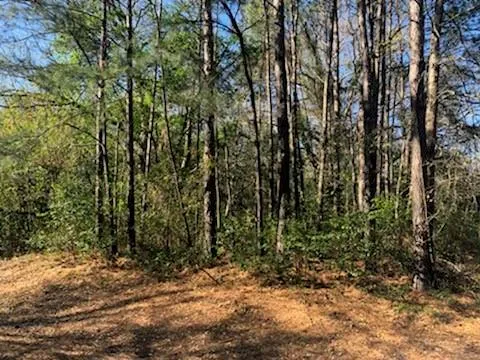 Marlin Lot 312 Drive Hemphill, TX 75948