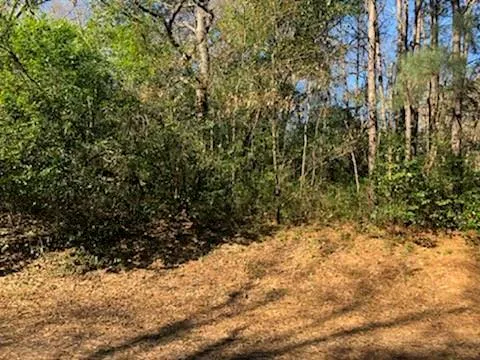 Marlin Lot 312 Drive Hemphill, TX 75948