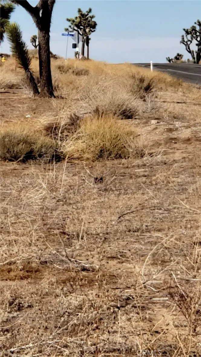 56825 Sun Oro Drive Yucca Valley, CA 92284