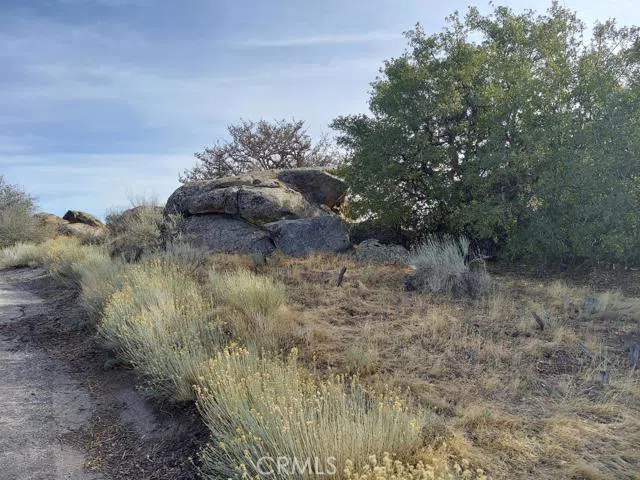 Amberwood Court Tehachapi, CA 93561