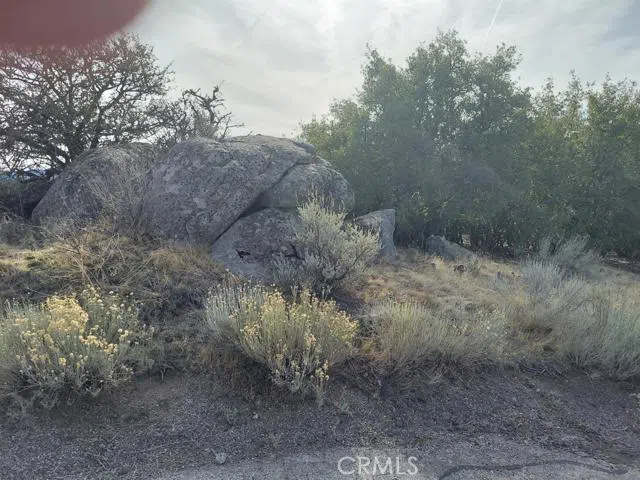 Amberwood Court Tehachapi, CA 93561