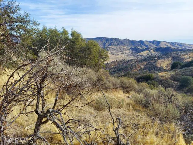 Amberwood Court Tehachapi, CA 93561