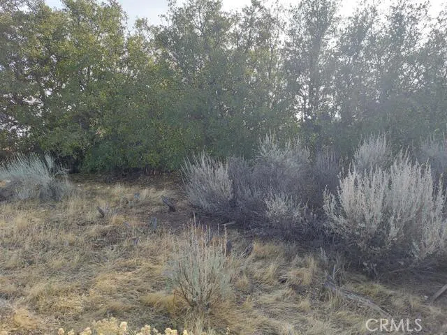 Amberwood Court Tehachapi, CA 93561