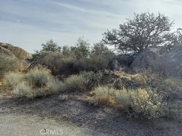 Amberwood Court Tehachapi, CA 93561