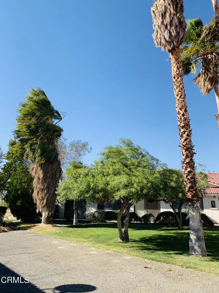66880 Pierson Boulevard Desert Hot Springs, CA 92240