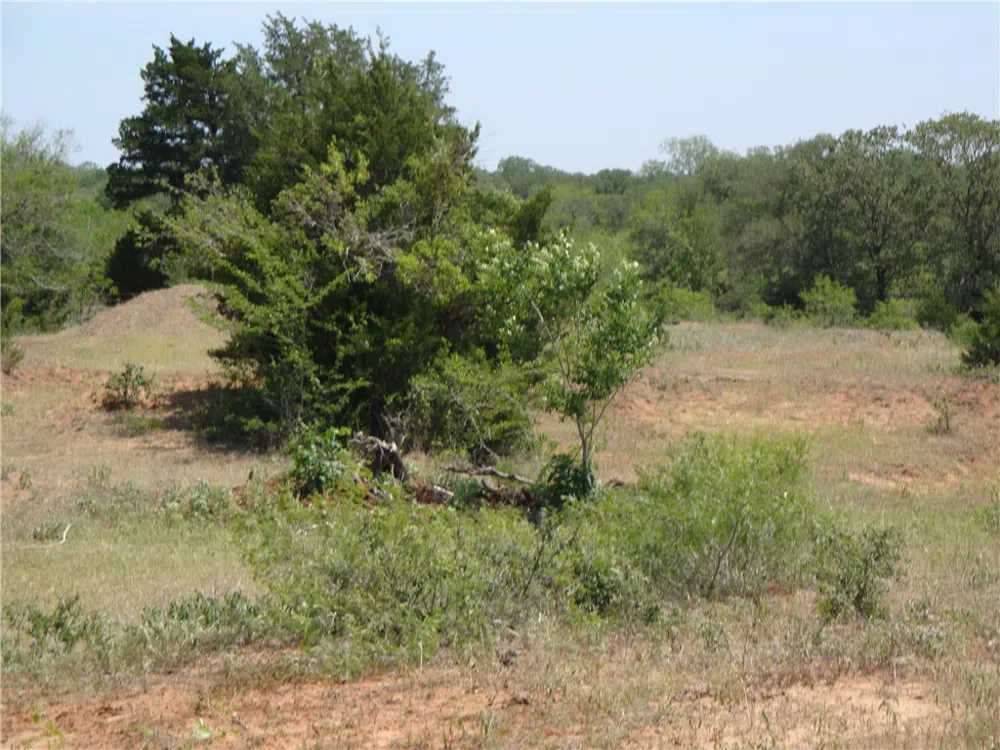 1342 CR 358 ROAD Gonzales, TX 77984