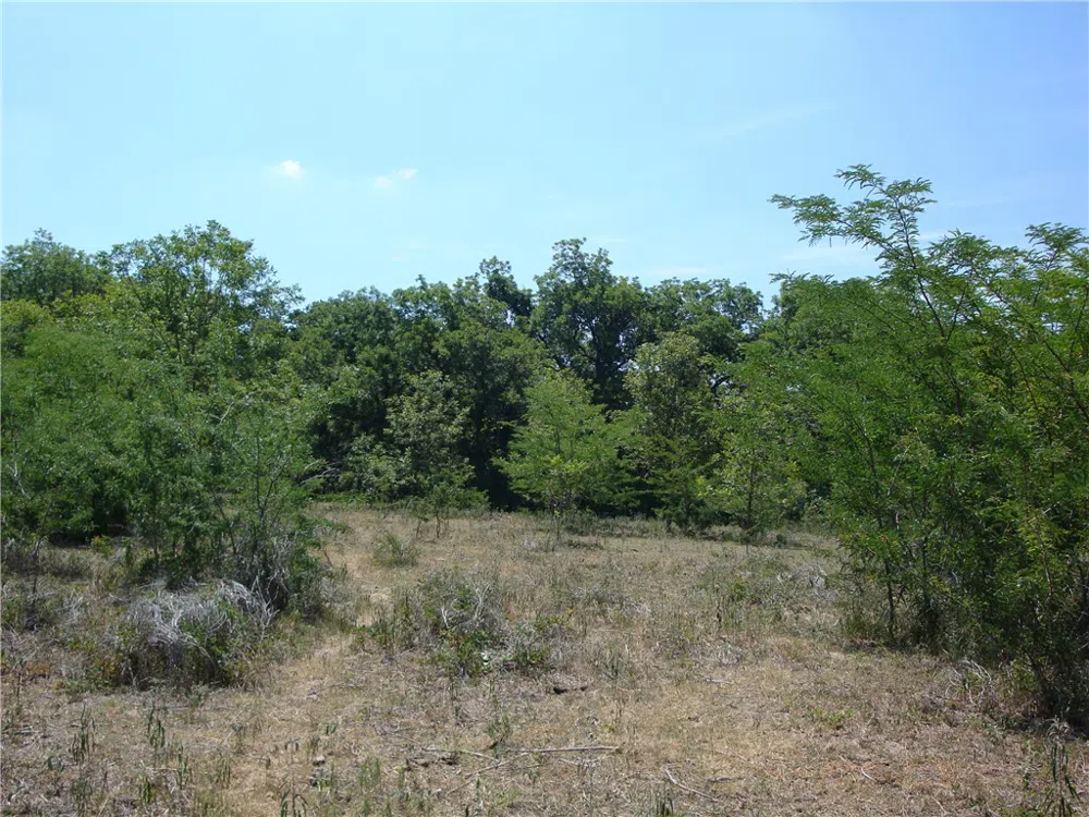 1342 CR 358 ROAD Gonzales, TX 77984