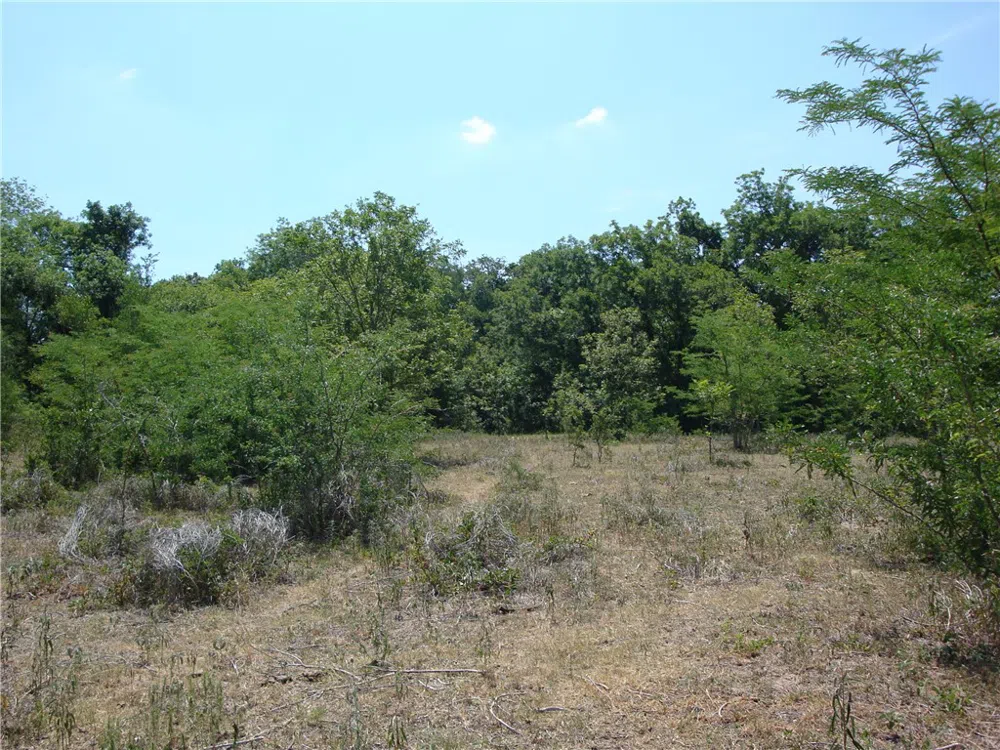 1342 CR 358 ROAD Gonzales, TX 77984