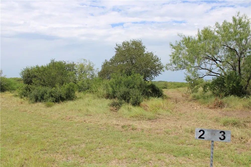 Lot 2 Vista Fina Drive Sandia, TX 78383