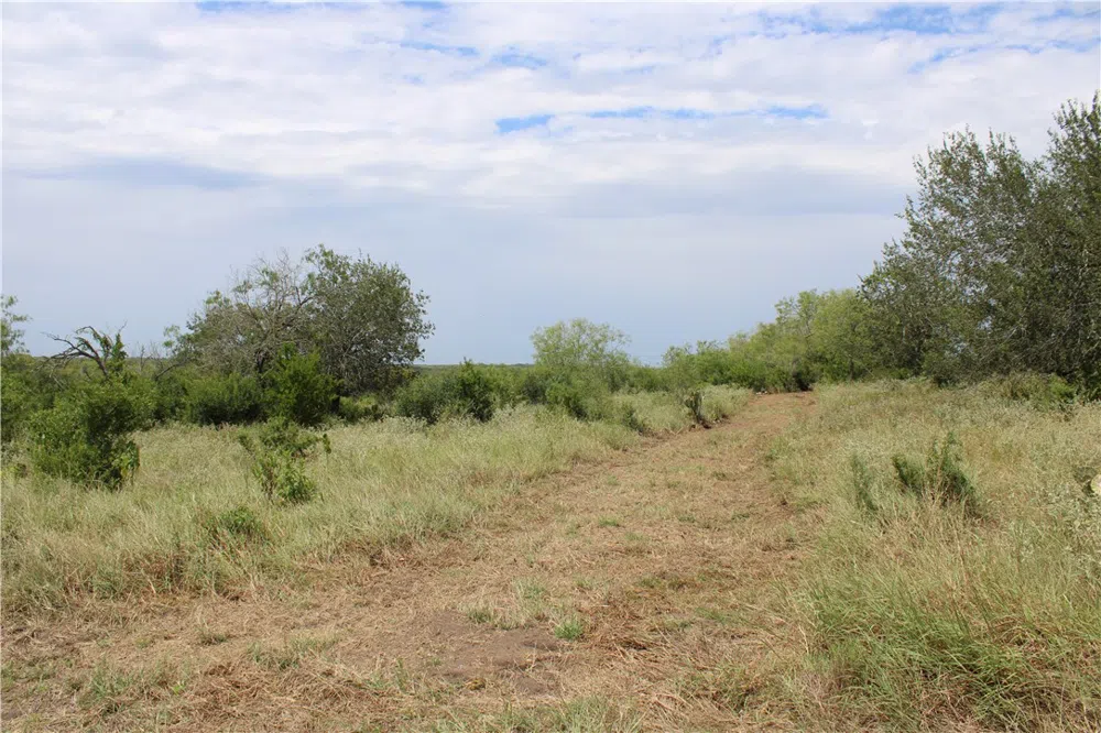 Lot 2 Vista Fina Drive Sandia, TX 78383
