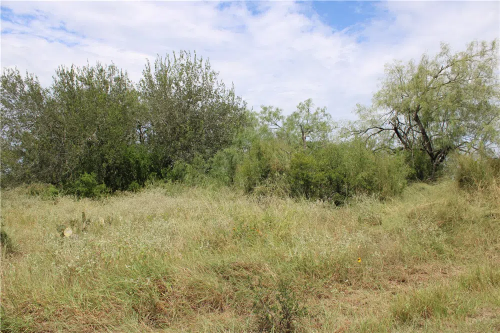 Lot 2 Vista Fina Drive Sandia, TX 78383