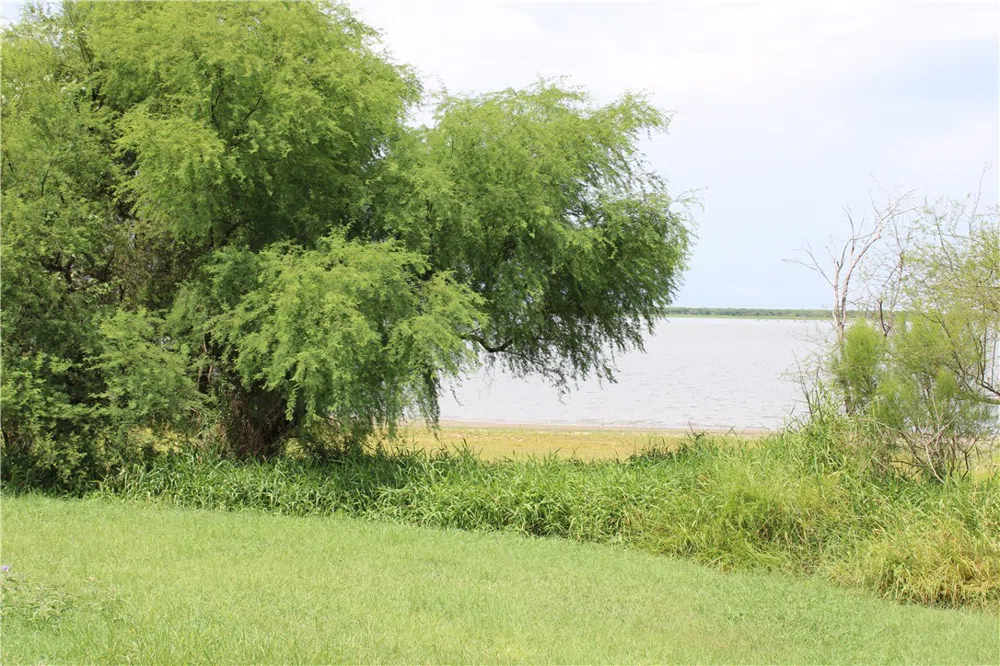 Lot 2 Vista Fina Drive Sandia, TX 78383