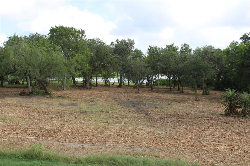 Lot 2 Vista Fina Drive Sandia, TX 78383